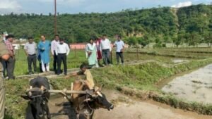 जिला प्रशासन ने दून बासमती को दिलाई नई पहचान, मुख्यमंत्री पुष्कर सिंह धामी की पहल से विलुप्ति के कगार से पुनर्जीवन, हिलान्स और हाउस ऑफ हिमालय से मिलेगा राष्ट्रीय बाजार