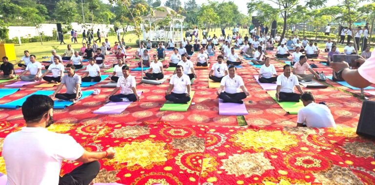 योग की छांव में विकास का संकल्प, एमडीडीए सिटी फॉरेस्ट पार्क बना स्वास्थ्य और प्रकृति का महाकुंभ