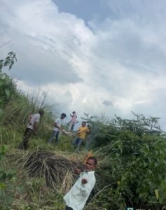 सिंगल वायर फेंसिंग ने रोकी हाथियो की दस्तक, हरिद्वार वन प्रभाग की बेहतरीन पहल